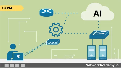 Network Fundamentals