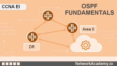 OSPF Fundamentals